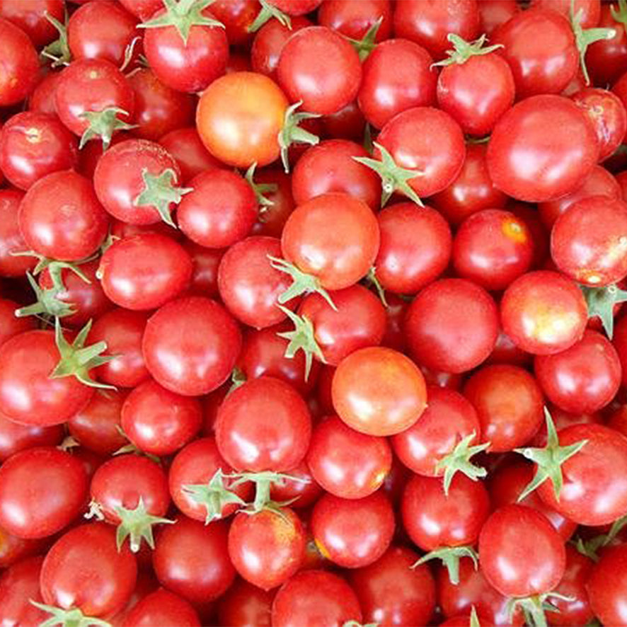 Pomodoro Ciliegino (500g) KG: 7,90€