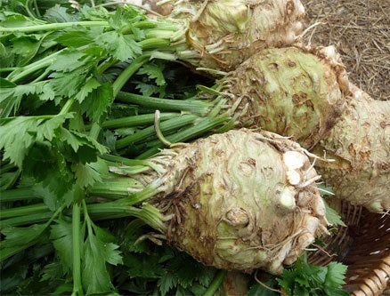 Sedano Rapa (€ 4,30/kg) 1 pezzo 800g